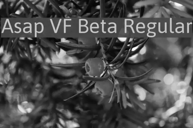 Asap VF Beta Regular  examples