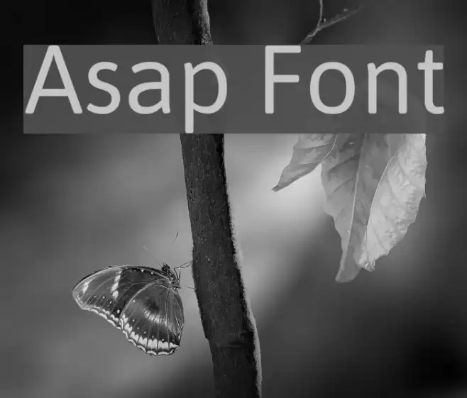 Asap Font examples