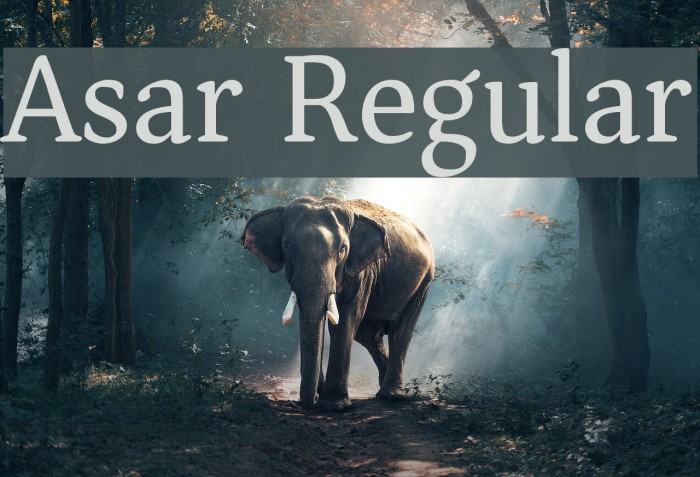 Asar Regular Font examples