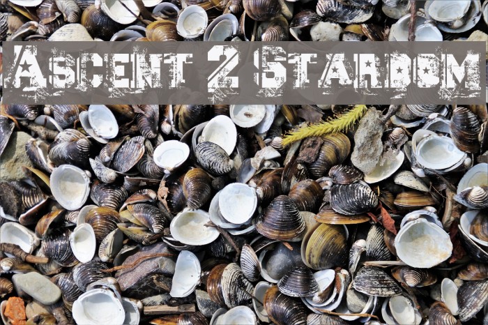 Ascent 2 Stardom Font examples