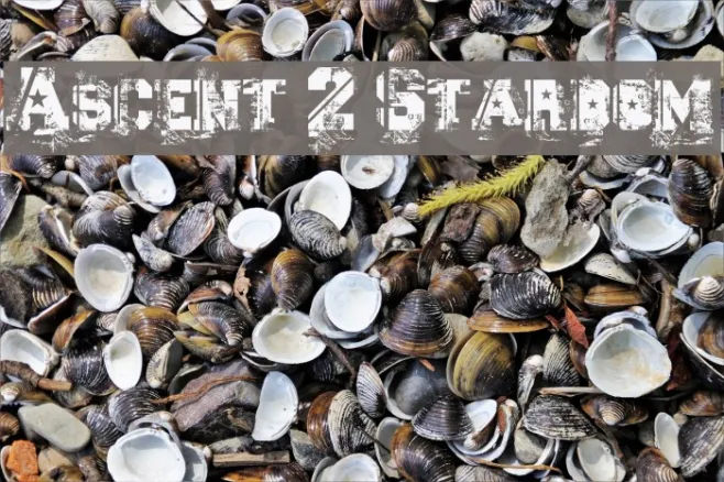 Ascent 2 Stardom Example 1