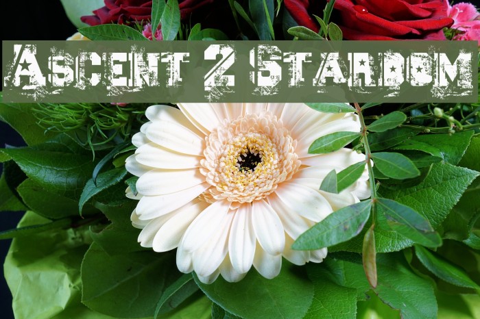 Ascent 2 Stardom Font examples