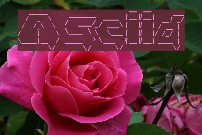 Asciid Schriftart examples