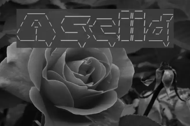 Asciid Font examples