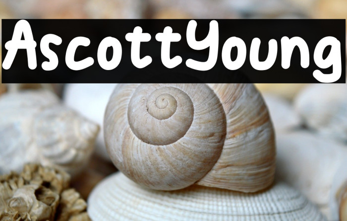 AscottYoung Example 2