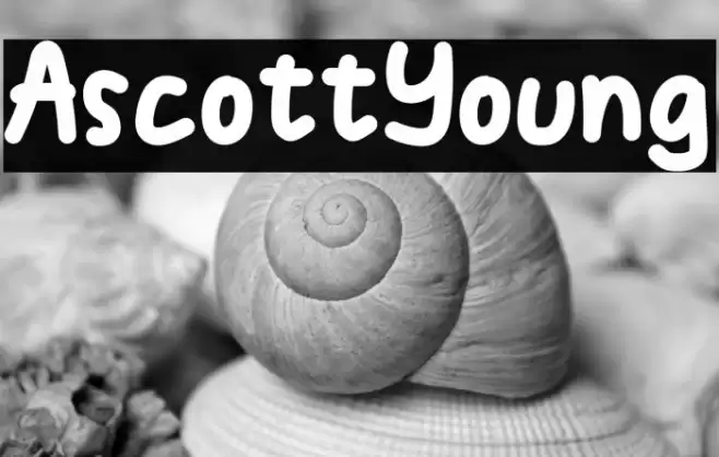 AscottYoung Font examples