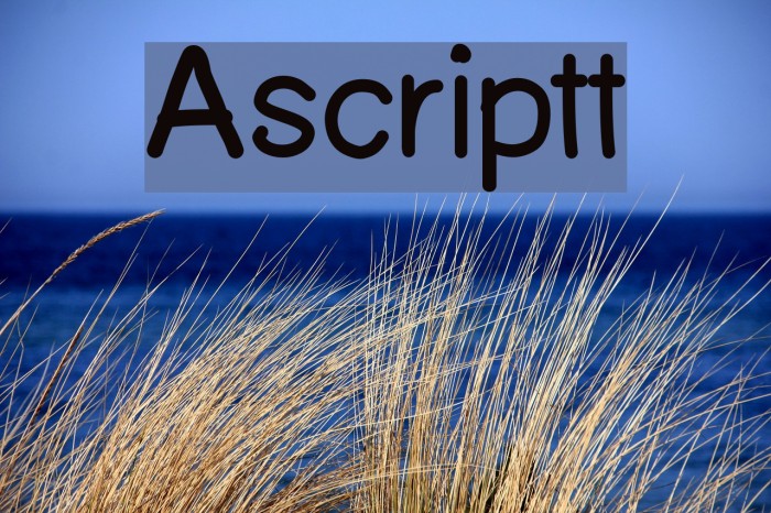 Ascriptt Font examples