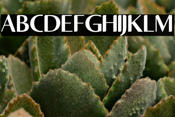 AsdaenRegular Example 1