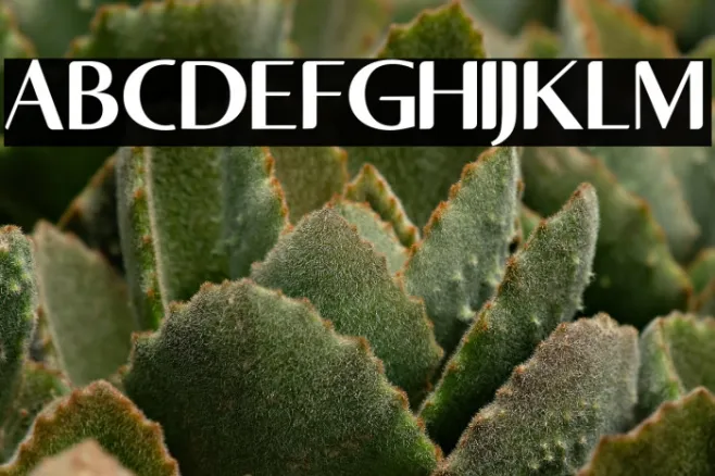 AsdaenRegular Example 1