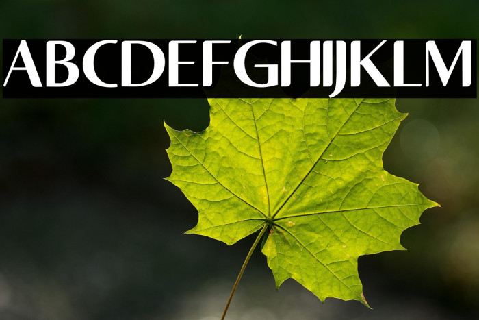 AsdaenRegular Example 2