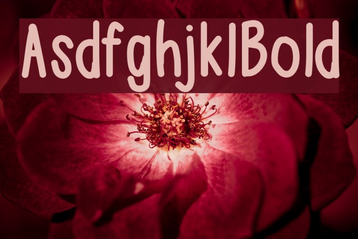 AsdfghjklBold Font examples