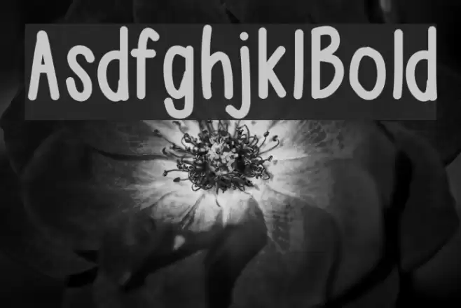 AsdfghjklBold examples