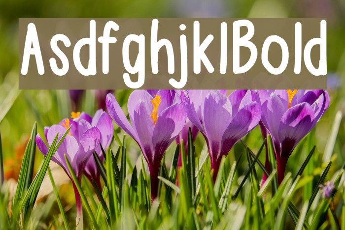 AsdfghjklBold Font examples