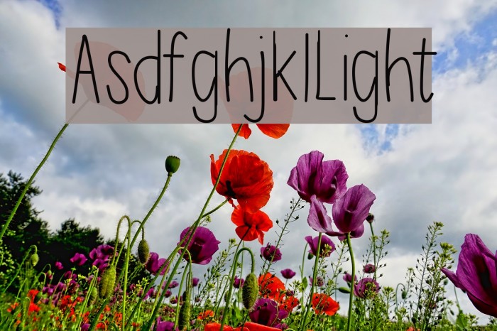 AsdfghjklLight Example 2