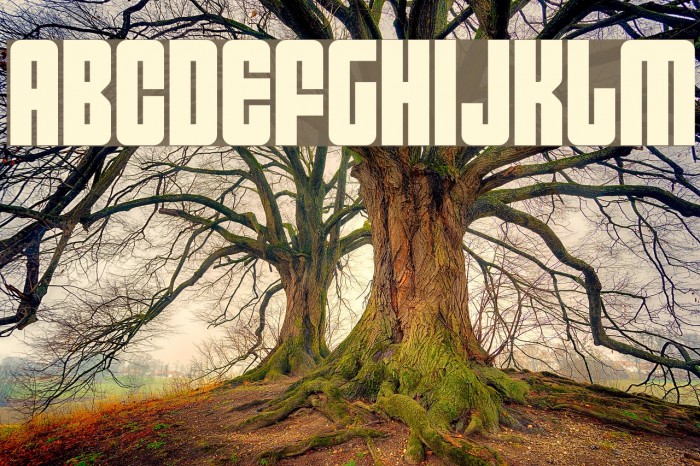 Asectica Simple Demo Font examples