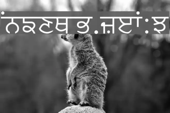 Asees Fonte examples