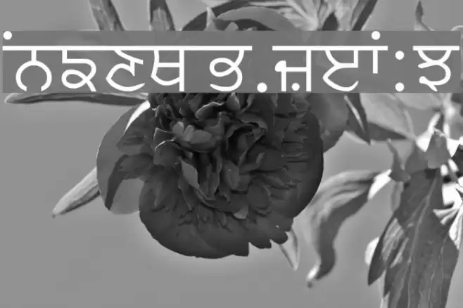 Asees Fonte examples