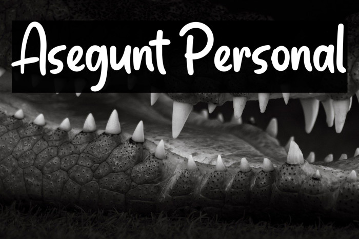 Asegunt Personal Example 1