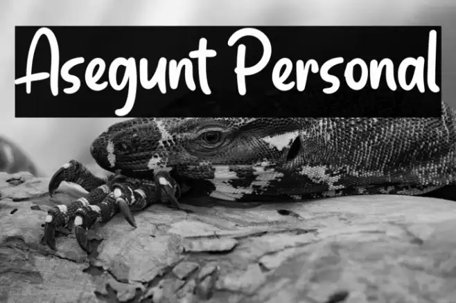 Asegunt Personal Font examples