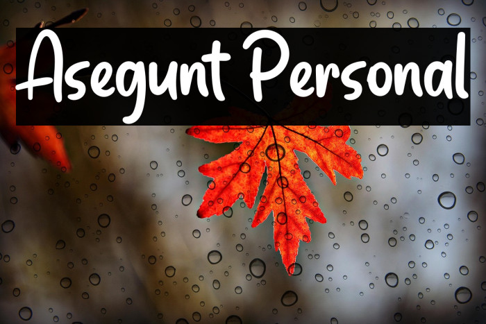 Asegunt Personal Example 3