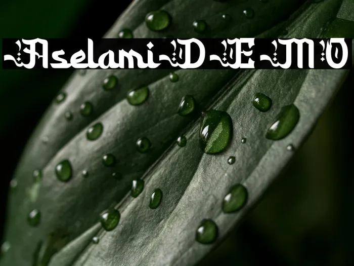 Aselami DEMO Example 1