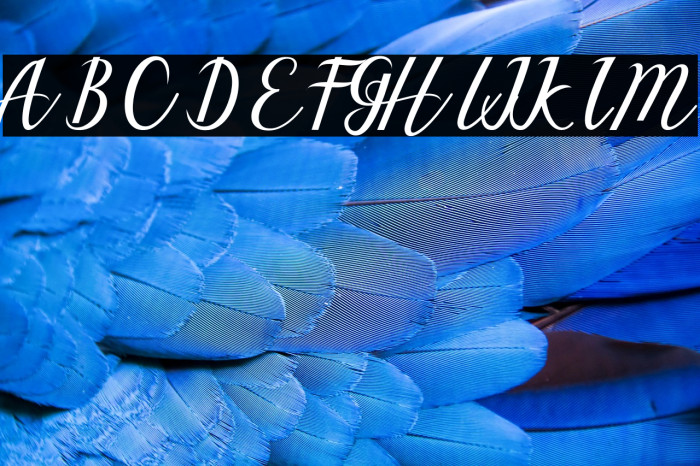 AselineScript Example 1