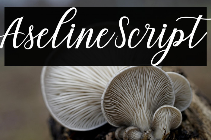 AselineScript Example 3