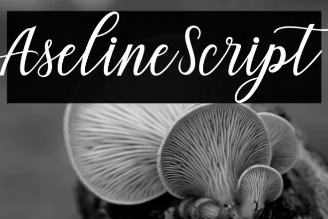 AselineScript Font examples