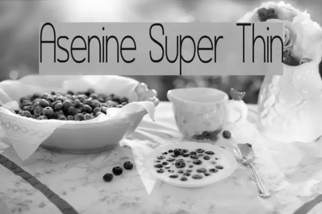 Asenine Super Thin Font examples