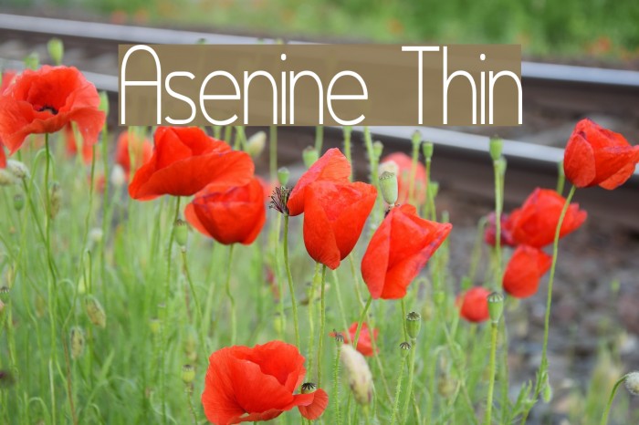 Asenine Thin Font examples