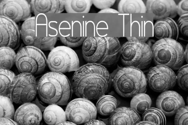 Asenine Thin Font examples