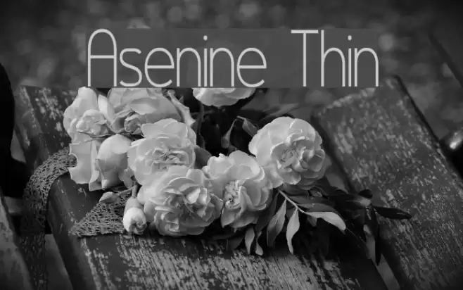 Asenine Thin Font examples