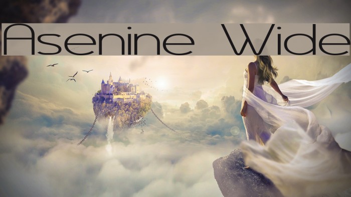 Asenine Wide Schriftart examples