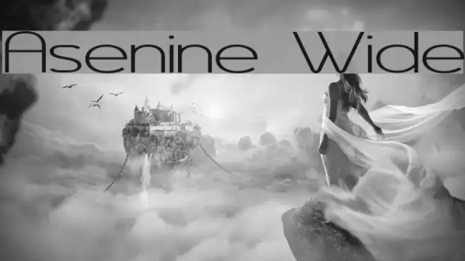 Asenine Wide Schriftart examples