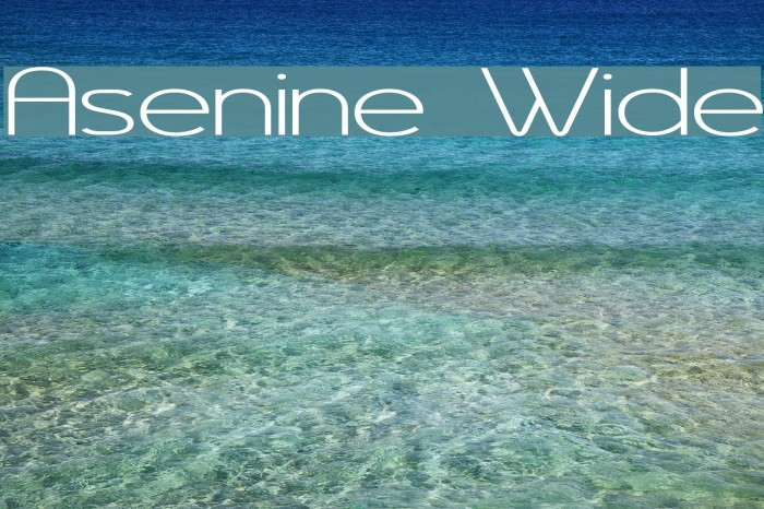 Asenine Wide Schriftart examples