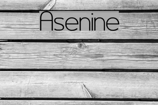Asenine Font examples