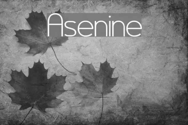 Asenine Font examples