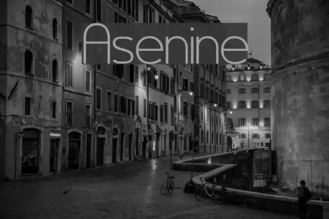 Asenine Font examples