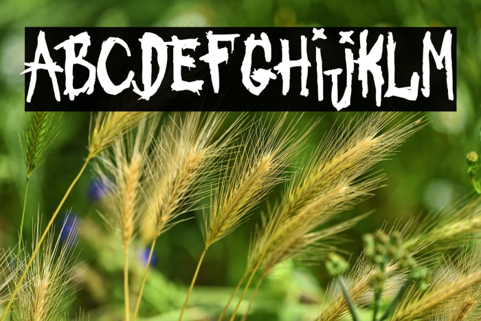 Asesinato Matutino Example 1