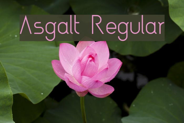 Asgalt Regular Font examples