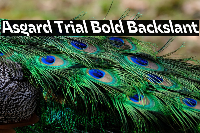Asgard Trial Bold Backslant Example 1