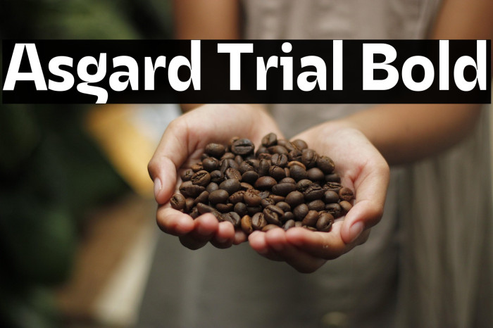Asgard Trial Bold Example 1