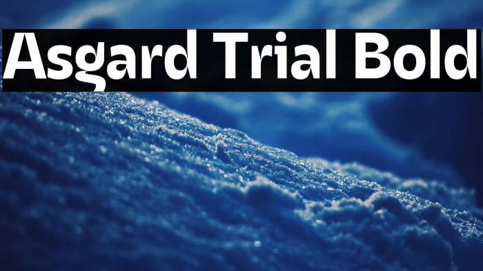 Asgard Trial Bold Example 3