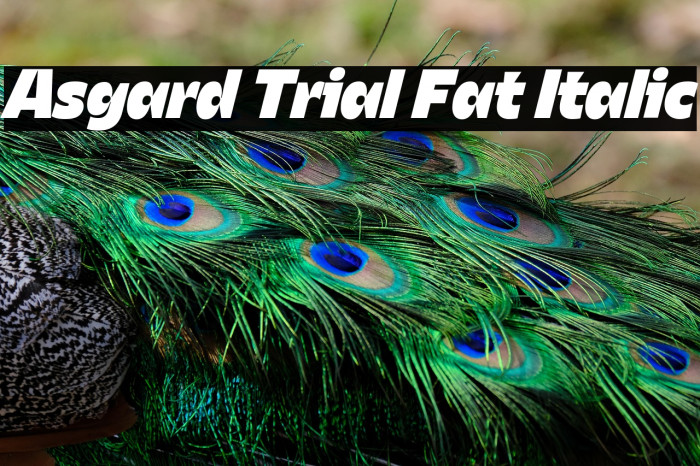 Asgard Trial Fat Italic Example 2