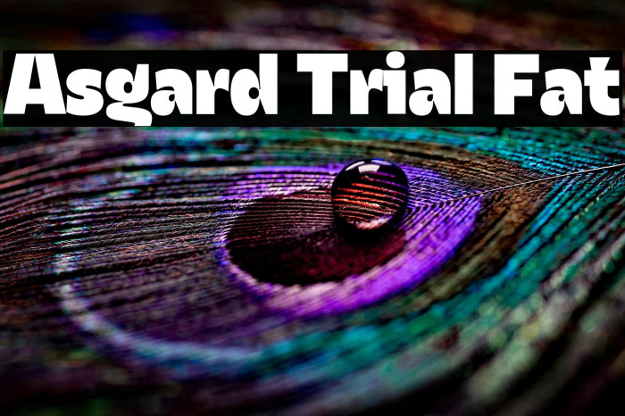 Asgard Trial Fat Example 2