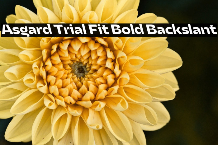 Asgard Trial Fit Bold Backslant Example 2
