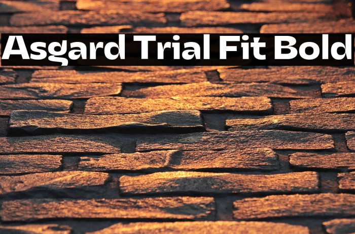 Asgard Trial Fit Bold Example 1