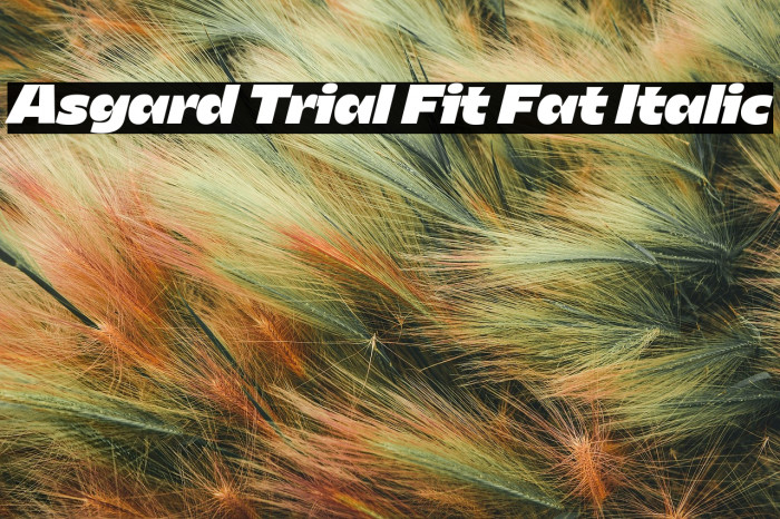 Asgard Trial Fit Fat Italic Example 2