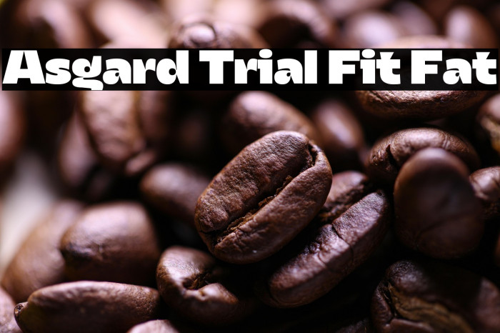 Asgard Trial Fit Fat Example 2
