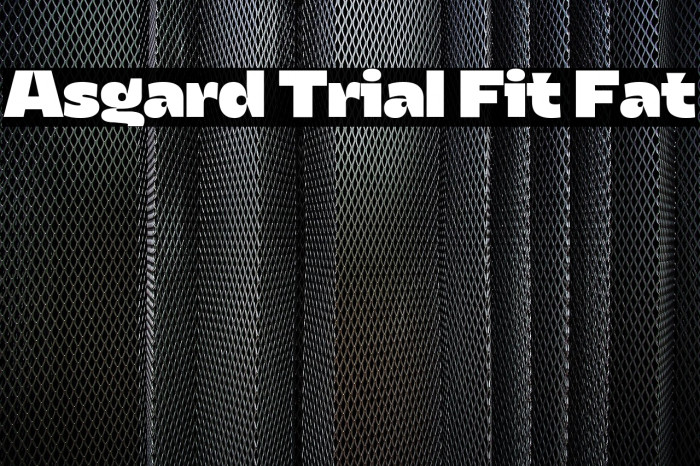 Asgard Trial Fit Fat Example 3